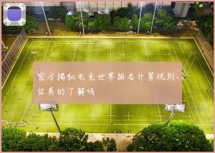 UFC选手出场费排行榜:顶尖选手单场收入揭秘